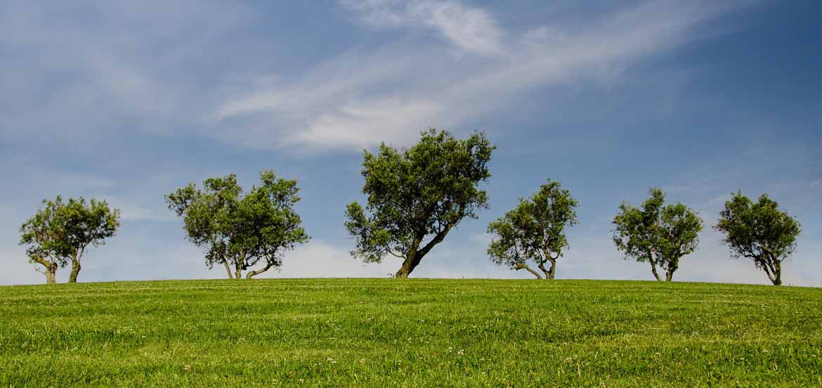 Geis Impianti, attenzione per l'Ambiente